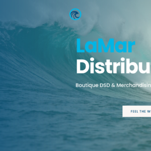 Solid StarterNOW Wordpress website